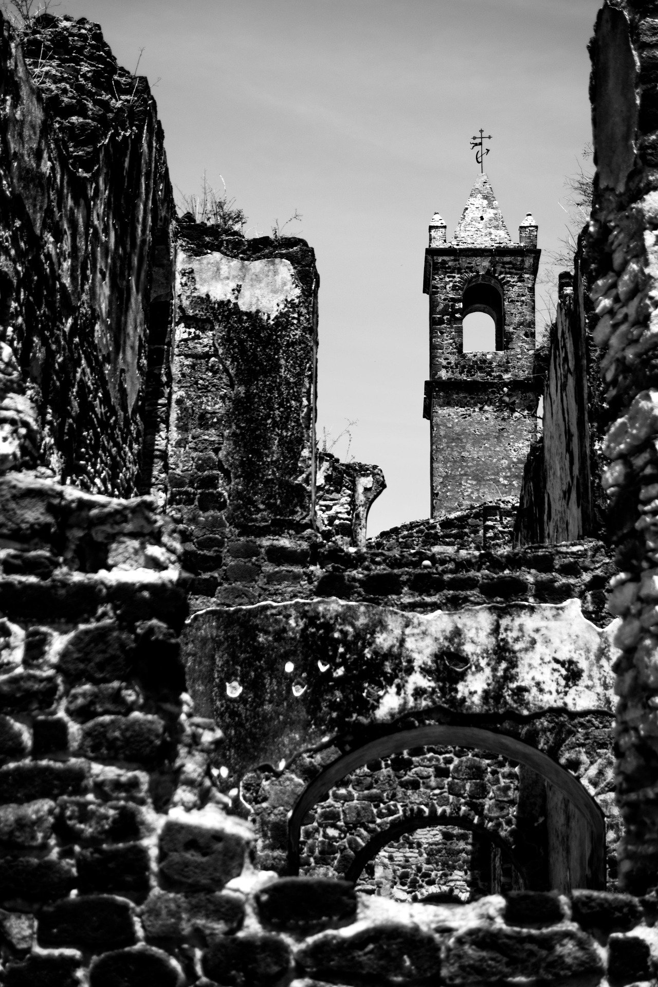 pacoxavir tecalli 3674083 1920