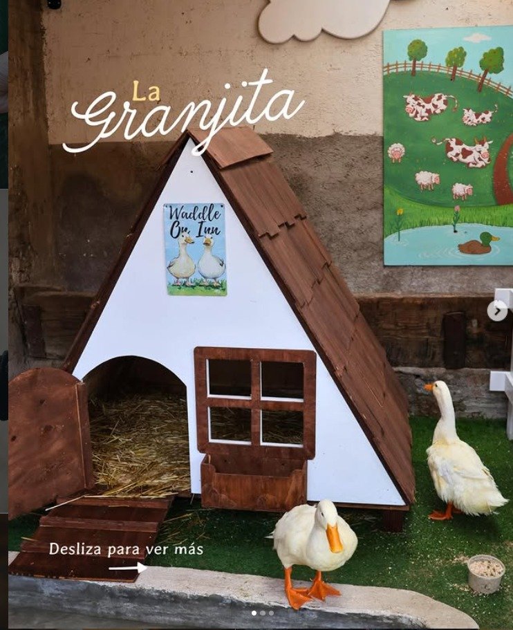 whatsapp image 2026 04 09 at 8.41.31 pm